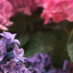 easter_banner 3