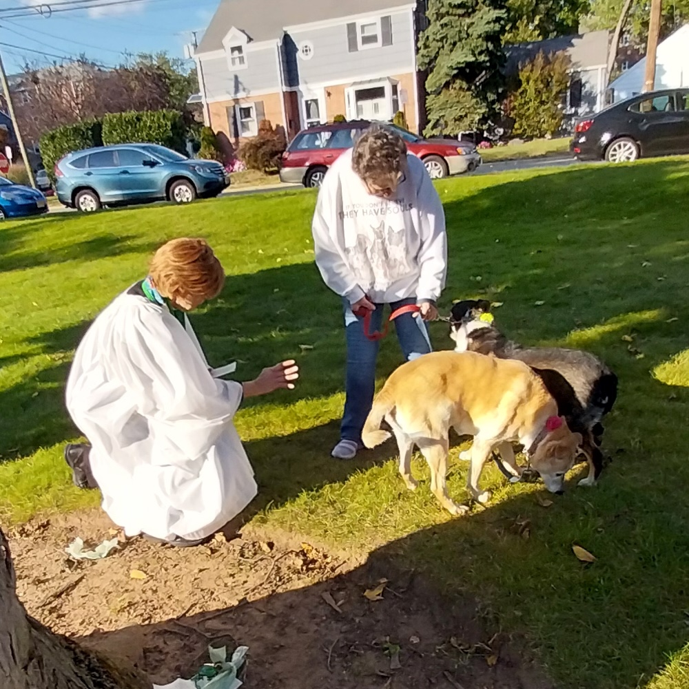 Scenes from Blessing of the Animals