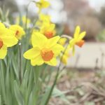 IMG_3962