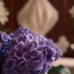 IMG_4035