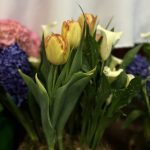 IMG_4066